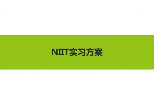 NIIT实习方案-20150907