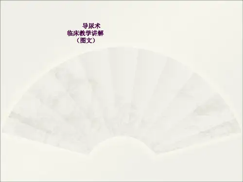 导尿术(临床教学)ppt课件