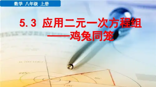 5.3 应用二元一次方程组——鸡兔同笼