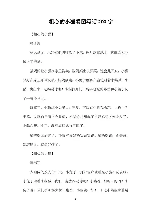 粗心的小猫看图写话200字
