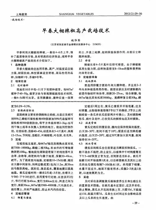 早春大棚辣椒高产栽培技术