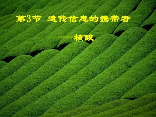 高一生物核酸课件