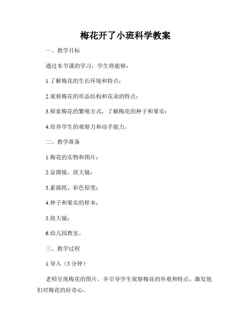 梅花开了小班科学教案