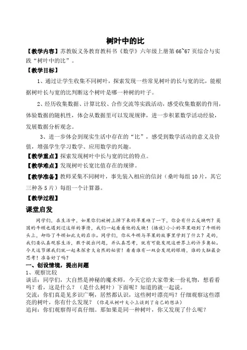 新苏教版六年级数学上册《 分数除法  ● 树叶中的比》优课导学案_3