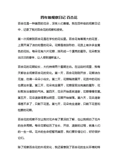四年级观察日记 百合花