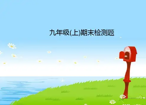 【人教版】2018届九年级(上)物理：期末检测ppt复习课件(含答案解析)