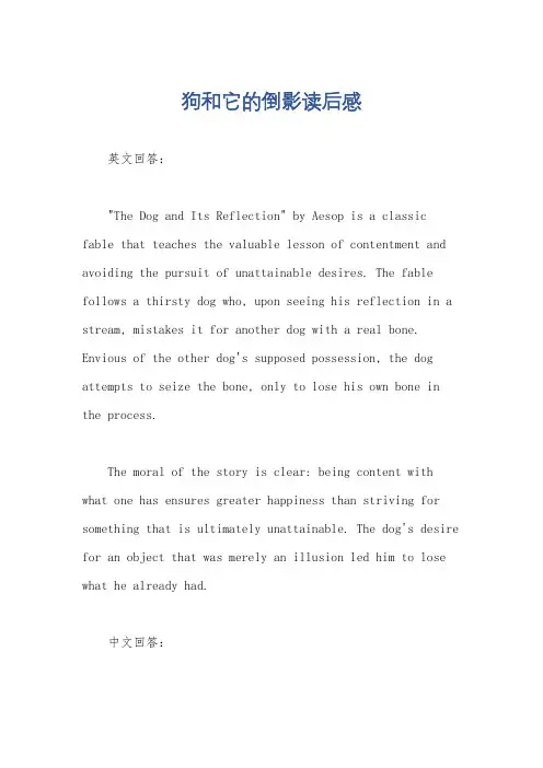 狗和它的倒影读后感