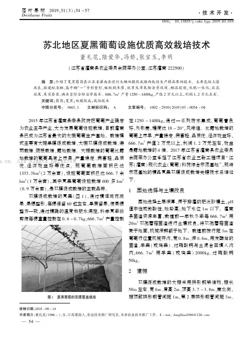 苏北地区夏黑葡萄设施优质高效栽培技术