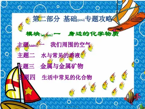中考化学总复习 第二部分基础专题攻略 模块一身边的化学物质课件 