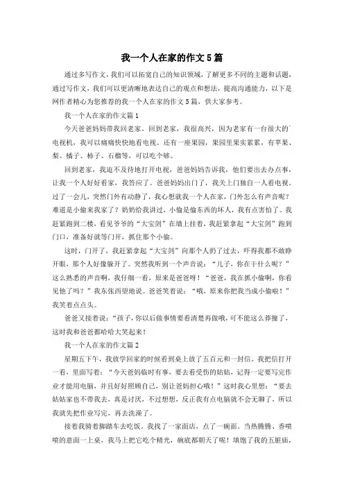 我一个人在家的作文5篇