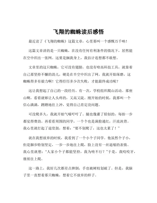 飞翔的蜘蛛读后感悟