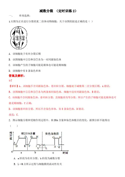 高一生物减数分裂(定时训练2)(答案及解析版)