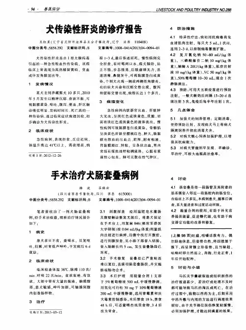 手术治疗犬肠套叠病例