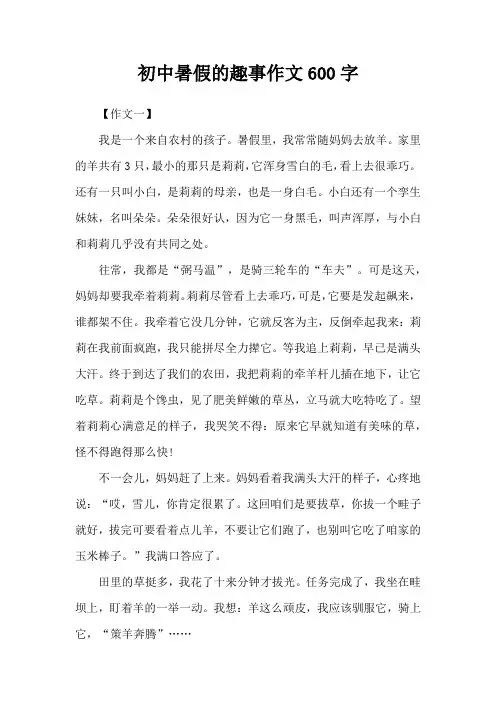 初中暑假的趣事作文600字