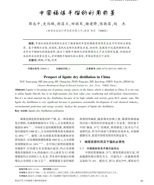 中国褐煤干馏的利用前景