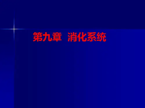 人体解剖生理学——第九章消化系统