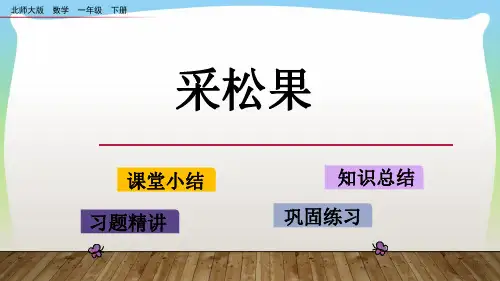 北师大版一年级下册数学课件-5.2 采松果 (共12张PPT)