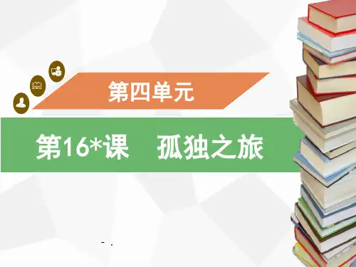 《孤独之旅》PPT优秀课件