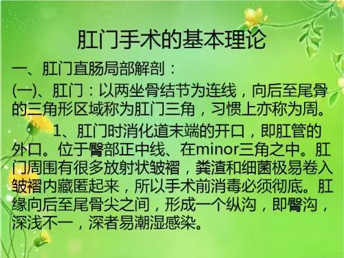 肛肠手术的基本理论