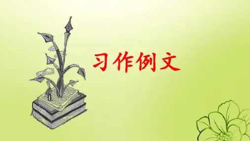 【推荐】部编版四年级语文上册第五单元《习作例文》优质课件
