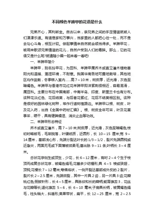 不同颜色羊蹄甲的花语是什么