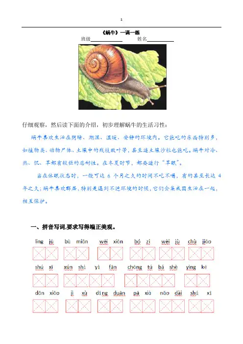 《蜗牛》一课一练