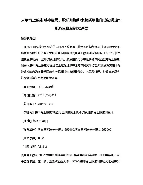 去甲肾上腺素对神经元、胶质细胞和小胶质细胞的功能调控作用及其机制研究进展