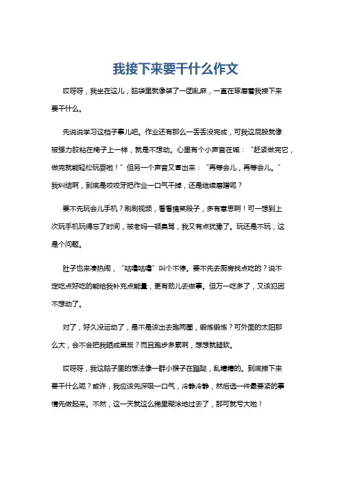 我接下来要干什么作文