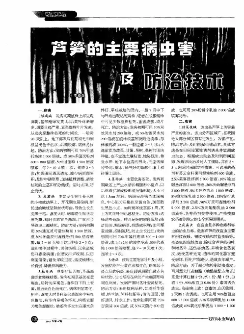 芦笋的主要病虫害及防治技术