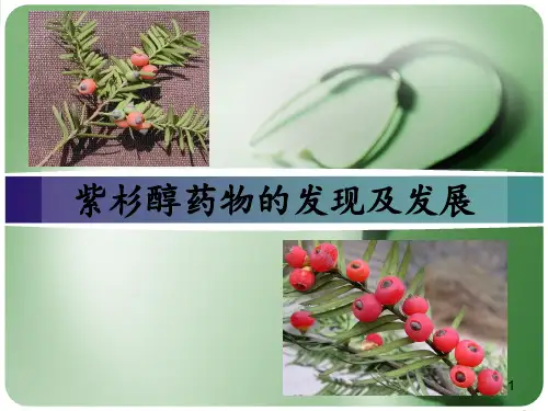 紫杉醇的发现及发展