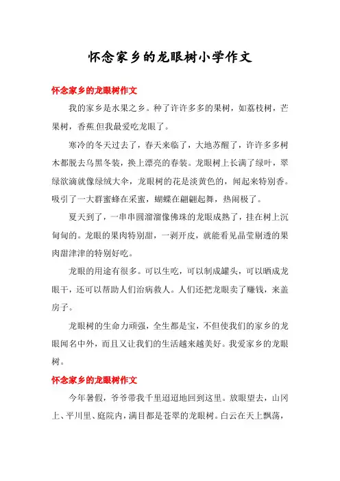 怀念家乡的龙眼树小学作文