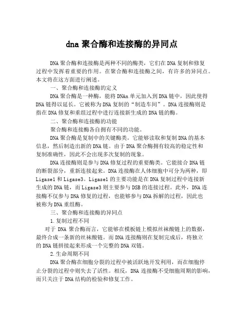 dna聚合酶和连接酶的异同点
