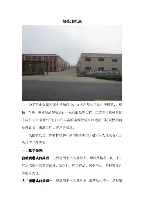 前处理电泳