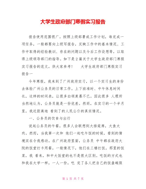 大学生政府部门寒假实习报告