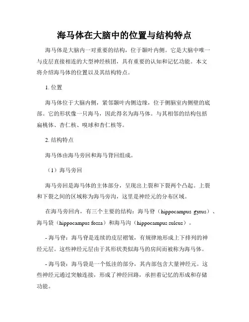 海马体在大脑中的位置与结构特点