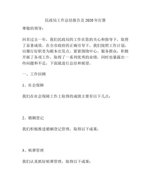 民政局工作总结报告及2020年打算