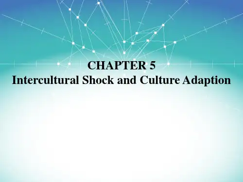 跨文化商务沟通 Chapter 5
