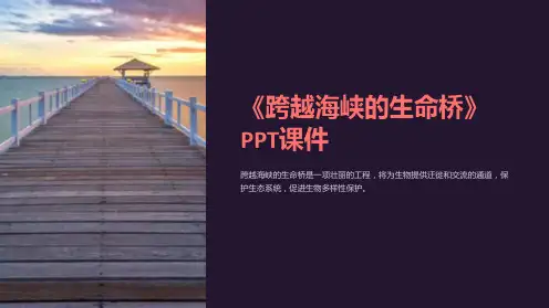 《跨越海峡的生命桥》课件