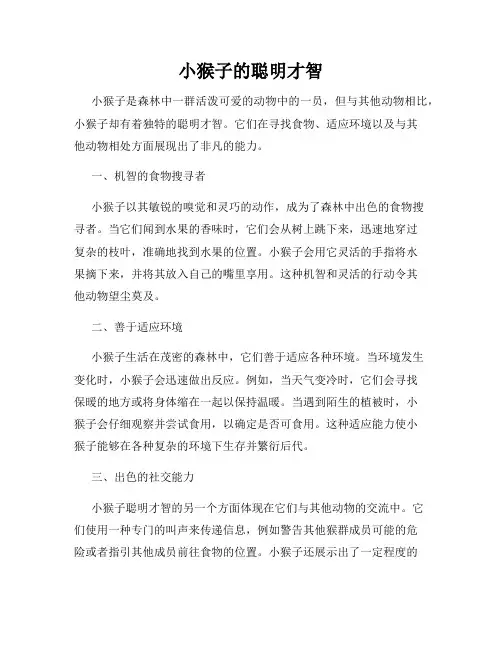 小猴子的聪明才智