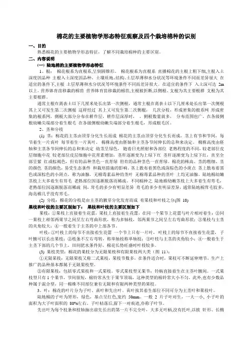 棉花的主要植物学形态特征观察及四个栽培棉种的识别1