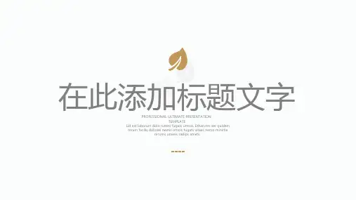 欧美风格商务精品100页演示PPT模板(适用于外资外企工作汇报总结计划展示)26