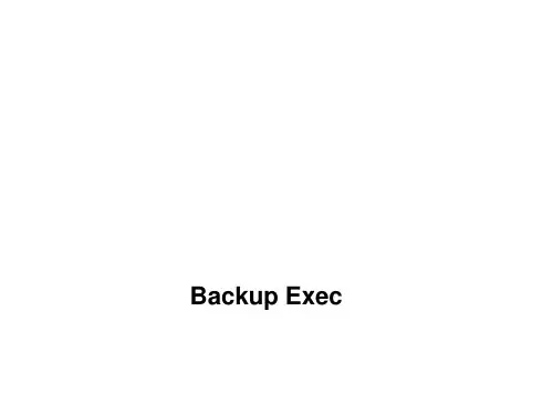 Backup Exec简介