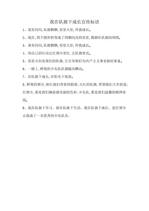 我在队旗下成长宣传标语