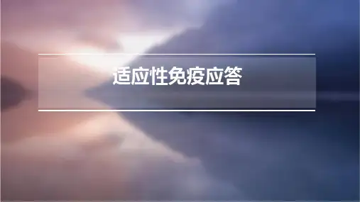 适应性免疫应答
