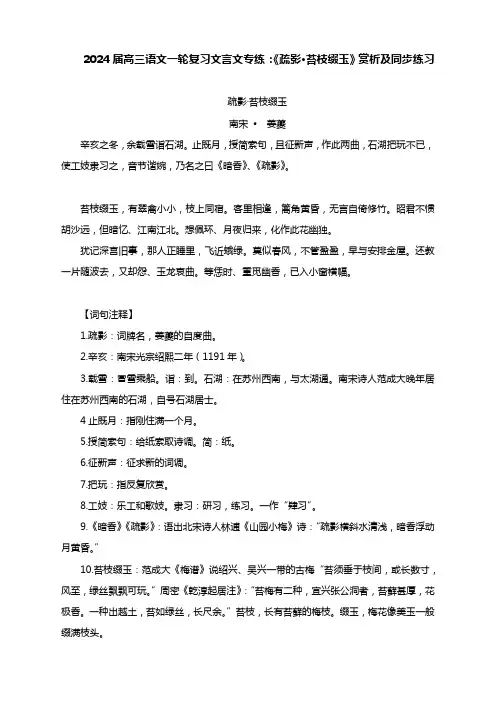 2024届高三语文一轮复习文言文专练：《疏影 苔枝缀玉》赏析及同步练习