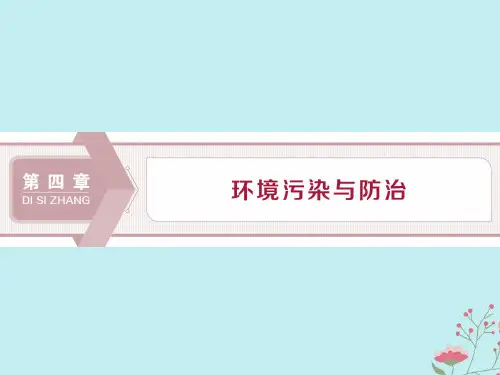 2019_2020学年高中地理第四章环境污染与防治第一节环境污染问题课件中图版选修6