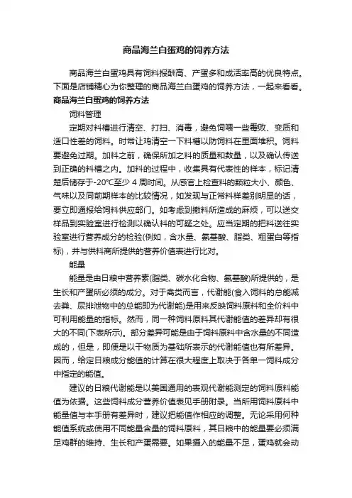 商品海兰白蛋鸡的饲养方法
