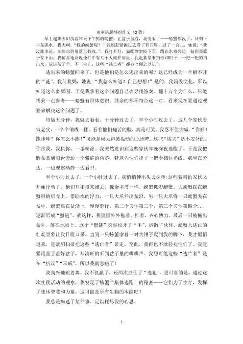 密室逃脱感想作文(3篇)