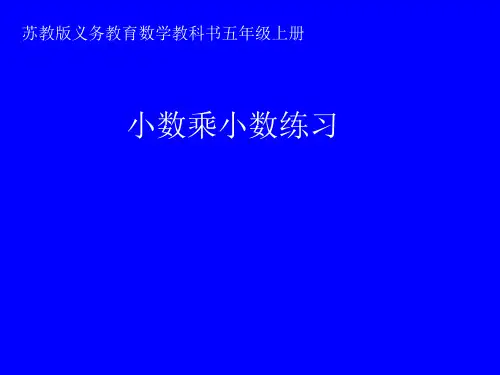 苏教版五年级上册数学  小数乘小数练习 10张幻灯片