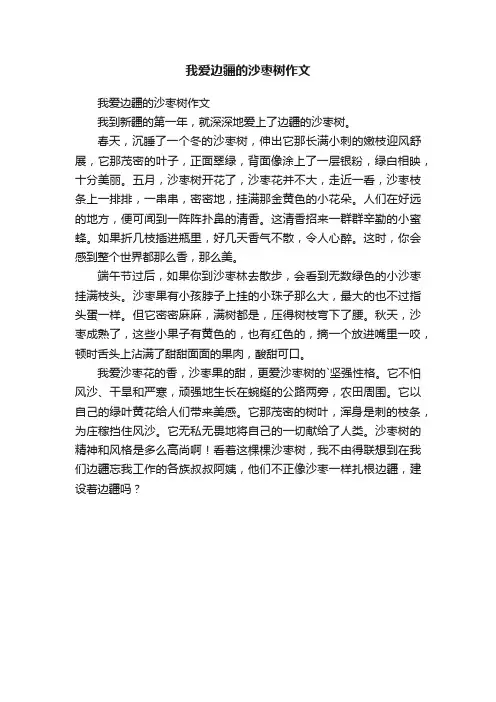 我爱边疆的沙枣树作文
